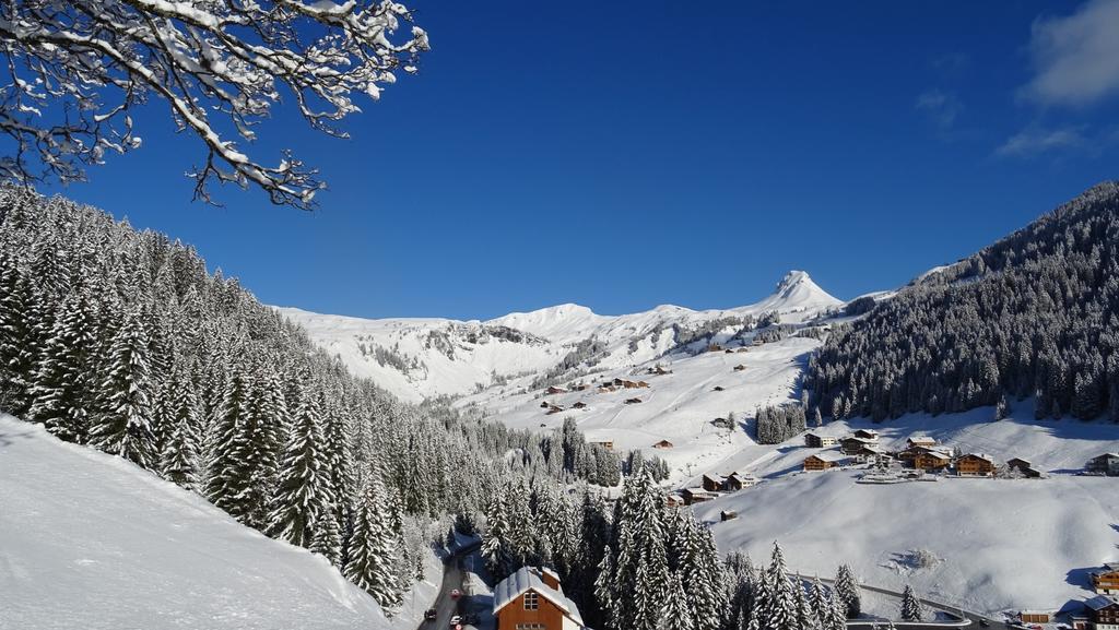 Pension Edelweiss Damuels Dış mekan fotoğraf